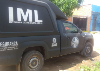 Mototaxista morre ao colidir com caminhão na zona Rural Leste de Teresina